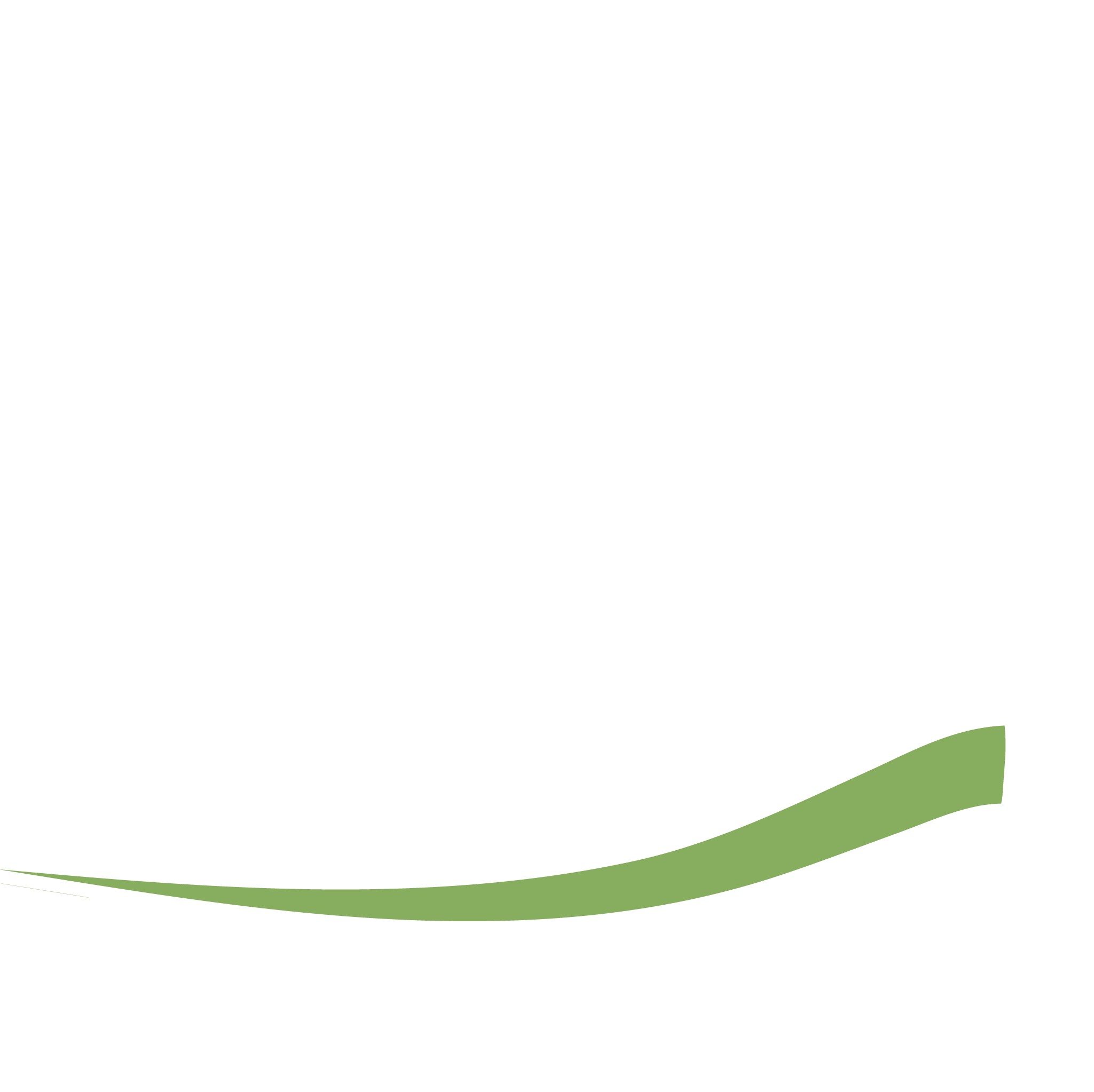 Islamic Chamber Holding Company